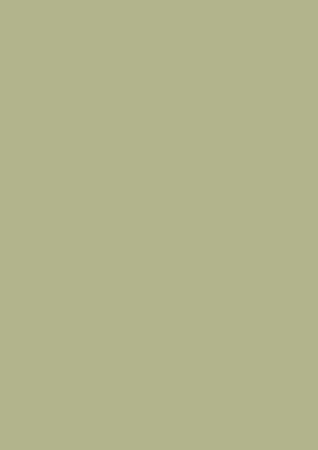 Picture of Moorman Double Imperial Mountboard 820X1120mm Bamboo