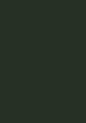 Picture of Moorman Double Imperial Mountboard 820X1120mm Russian Green