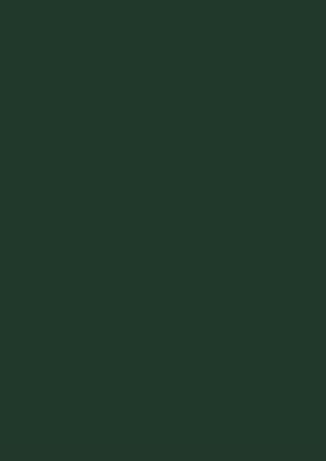 Picture of Moorman Double Imperial Mountboard 820X1120mm Hollygreen