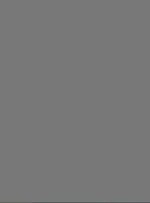 Picture of Vanguard 230Gsm 450X640 Dark Grey
