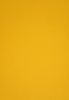 Picture of Vanguard 230Gsm 450X640 Gold