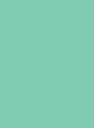 Picture of Vanguard 230Gsm 450X640 Jade