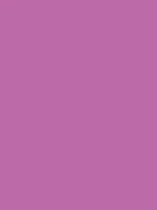 Picture of Vanguard 230Gsm 450X640 Lilac