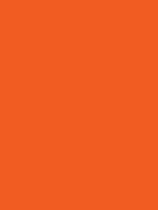 Picture of Vanguard 230Gsm 450X640 Orange