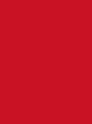 Picture of Vanguard 230Gsm 450X640 Red