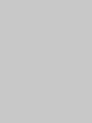 Picture of Vanguard 230Gsm 450X640 Silver Grey