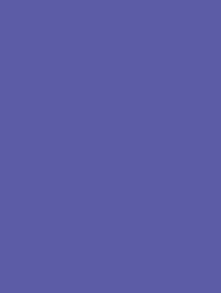 Picture of Vanguard 230Gsm 450X640 Violet