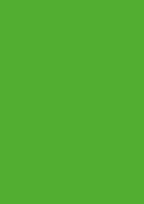 Picture of Tinted Card 300Gsm 50X70 Grass Green