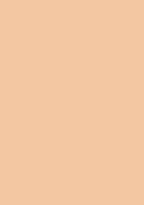 Picture of Tinted Card Rough 220Gsm 50X70 Chamois