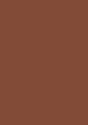 Picture of Tinted Card Rough 220Gsm 50X70 Chocolate Brown