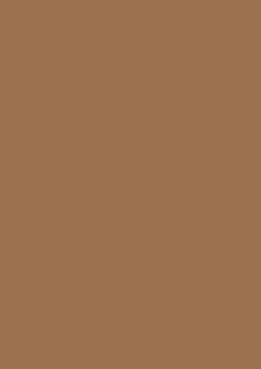 Picture of Tinted Card Rough 220Gsm 50X70 Deer Brown