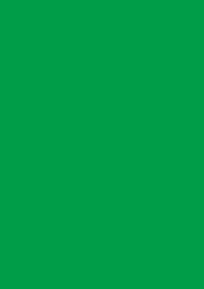 Picture of Tinted Card Rough 220Gsm 50X70 Emerald Green