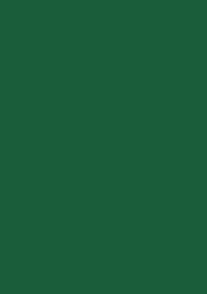 Picture of Tinted Card Rough 220Gsm 50X70 Fir Green