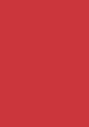 Picture of Tinted Card Rough 220Gsm 50X70 Hot Red