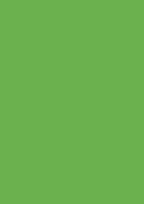 Picture of Tinted Card Rough 220Gsm 50X70 Light Green