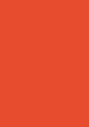 Picture of Tinted Card Rough 220Gsm 50X70 Orange