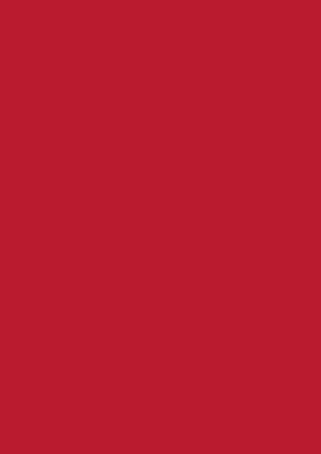 Picture of Tinted Paper 130Gsm 50X70 Brick Red