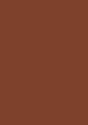 Picture of Tinted Paper 130Gsm 50X70 Chocolate Brown