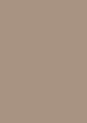 Picture of Tinted Paper 130Gsm 50X70 Cappucino
