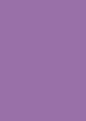 Picture of Tinted Paper 130Gsm 50X70 Dark Lilac