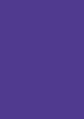 Picture of Tinted Paper 130Gsm 50X70 Dark Violet