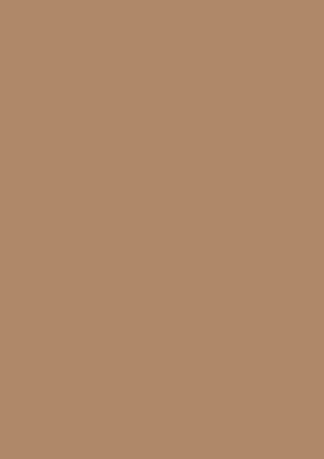Picture of Tinted Paper 130Gsm 50X70 Deer Brown