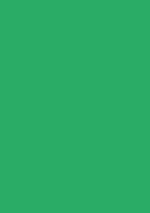 Picture of Tinted Paper 130Gsm 50X70 Emerald Green