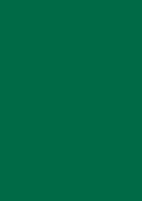 Picture of Tinted Paper 130Gsm 50X70 Fir Green