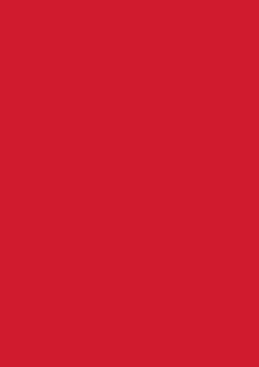 Picture of Tinted Paper 130Gsm 50X70 Hot Red