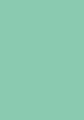 Picture of Tinted Paper 130Gsm 50X70 Mint