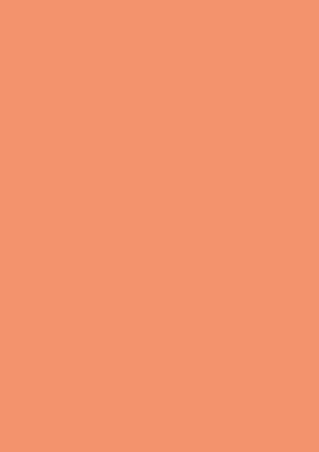 Picture of Tinted Paper 130Gsm 50X70 Salmon