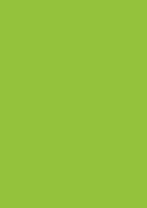 Picture of Tinted Paper 130Gsm 50X70 Spring Green