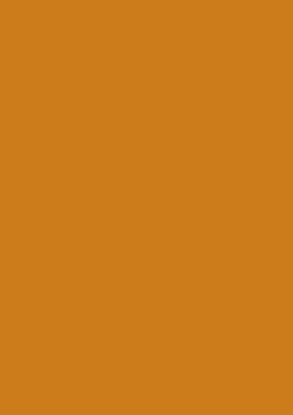 Picture of Tinted Paper 130Gsm 50X70 Terracotta