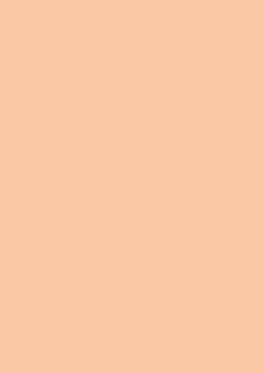 Picture of Tinted Paper 130Gsm 50X70 Apricot