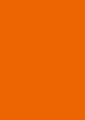 Picture of Tinted Paper 130Gsm 50X70 Light Orange