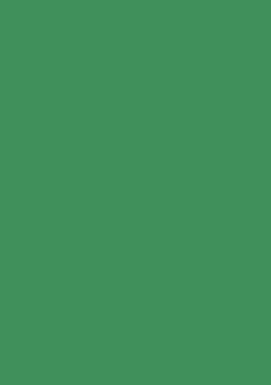 Picture of Tinted Paper 130Gsm 50X70 Moss Green