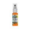 Picture of Spray Ink 25Ml Orange