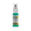 Picture of Spray Ink 25Ml Green