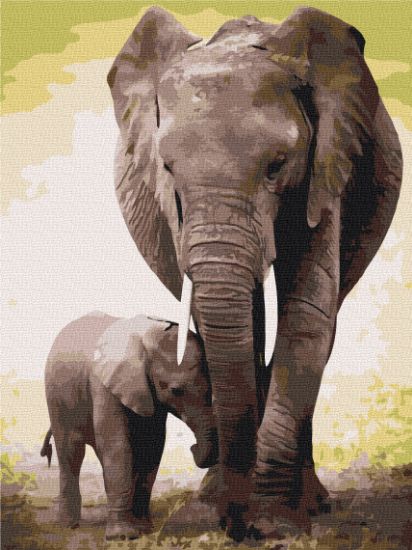 Picture of The First Days Of The Elephant