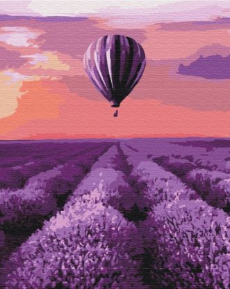 Picture of Air Ballon Provance Wrapped