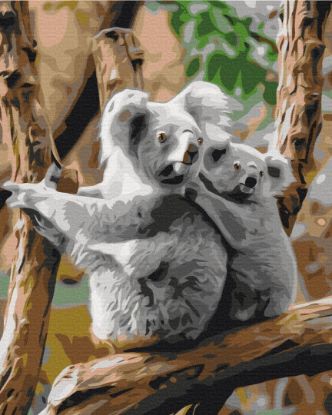 Picture of Koala Family Wrapped
