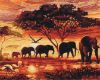 Picture of Savannah Elephants Wrapped
