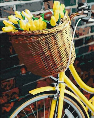 Picture of Basket For Tulips Wrapped