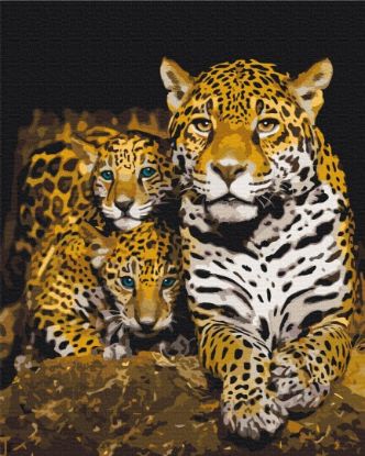 Picture of Nocturnal Leopards Wrapped