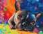 Picture of Colored Bulldog Boxed
