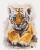 Picture of Cute Tiger Boxed