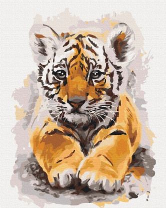 Picture of Cute Tiger Boxed