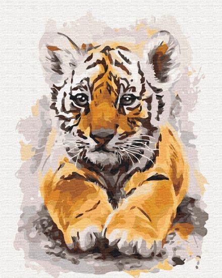 Picture of Cute Tiger Boxed