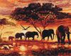 Picture of Savannah Elephants Boxed