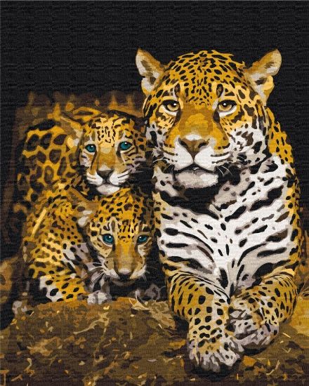 Picture of Nocturnal Leopards Boxed